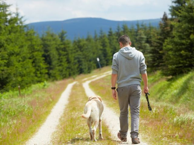 The Extrovert Experience of Alone Time and Solitude