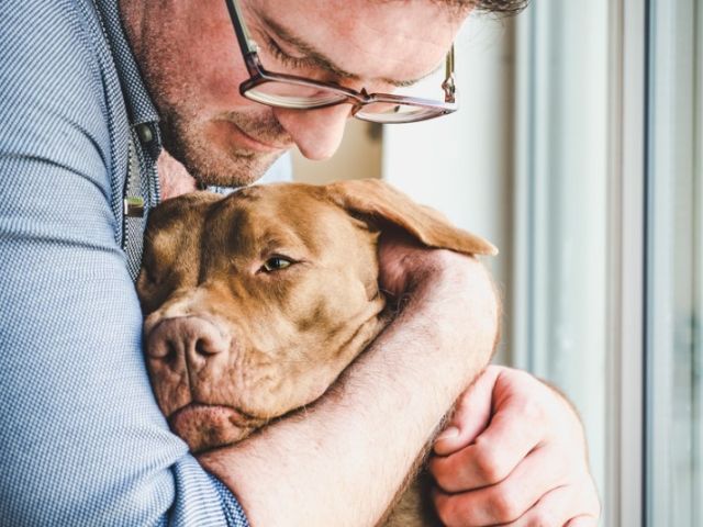 The Power of Pets