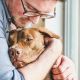 The Power of Pets